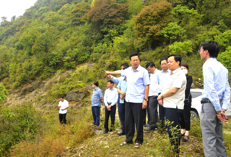 Chủ tịch UBND tỉnh Nguyễn Văn Sơn kiểm tra công tác quản lý đất đai tại khu vực đỉnh Chiêu Lầu Thi.