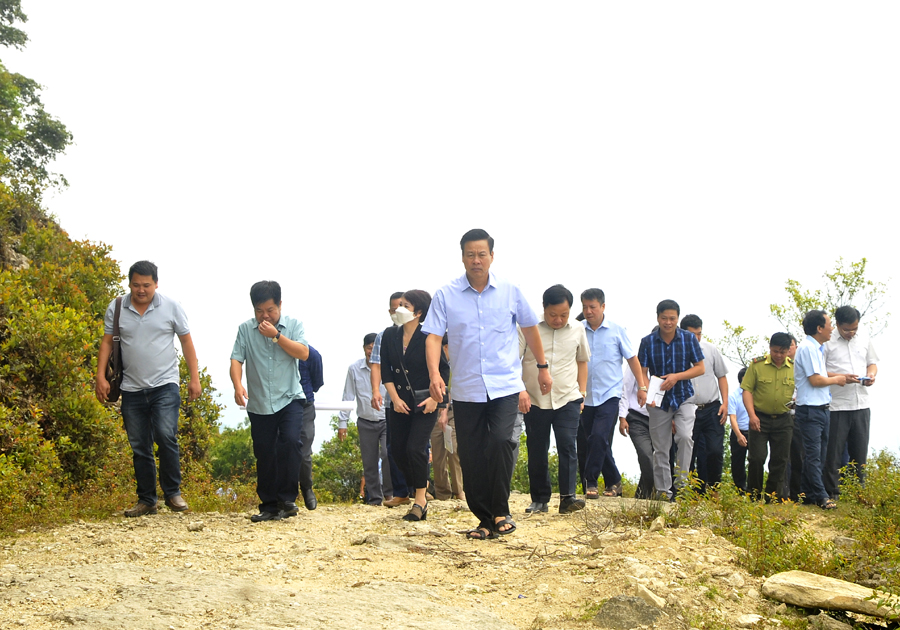 Chủ tịch UBND tỉnh Nguyễn Văn Sơn và lãnh đạo các sở, ngành kiểm tra khu vực đỉnh Chiêu Lầu Thi.