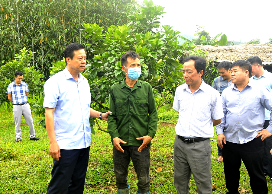 Chủ tịch UBND tỉnh Nguyễn Văn Sơn thăm mô hình cải tạo vườn tạp của gia đình anh Lý Văn Thu, thôn Nà Trà, xã Linh Hồ.
