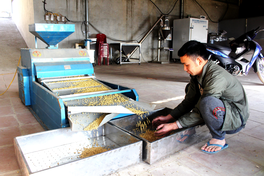 HTX Nông nghiệp và Thương mại Ngài Thầu, xã Chiến Phố (Hoàng Su Phì) đầu tư chế biến sâu các sản phẩm từ đậu tương.
