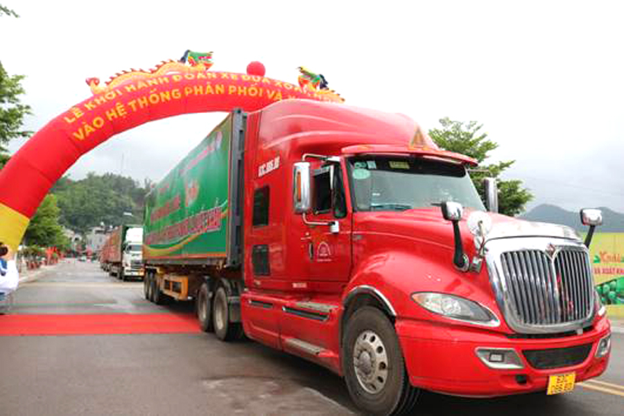 Đoàn xe khởi hành đưa nông sản Sơn La phân phối và xuất khẩu.

