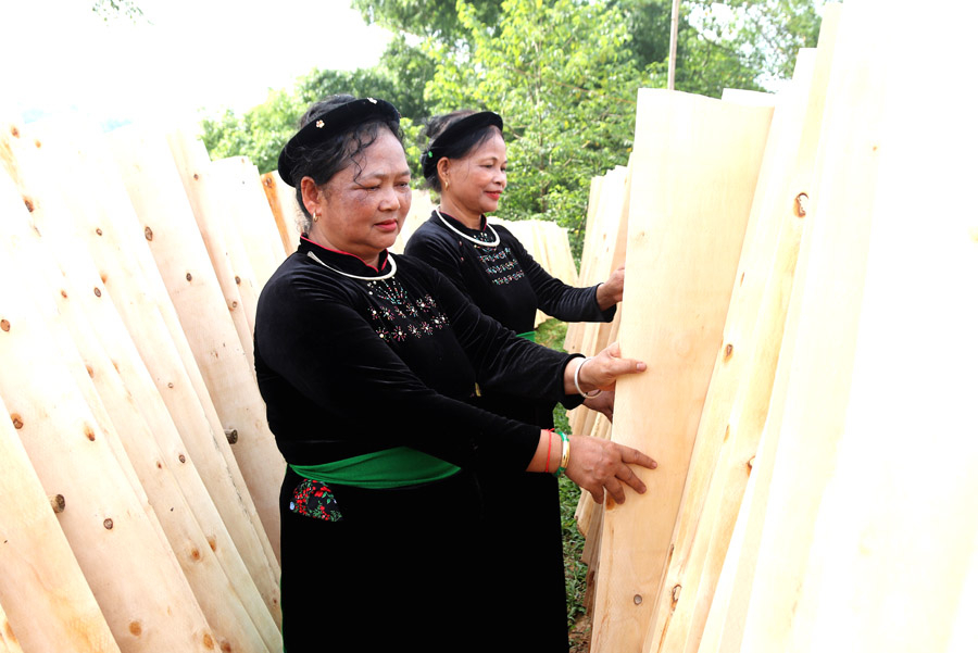 Đẩy mạnh trồng rừng gắn với chế biến lâm sản góp phần nâng cao thu nhập cho người dân xã Bằng Hành – nơi cội nguồn cách mạng của huyện và tỉnh.
