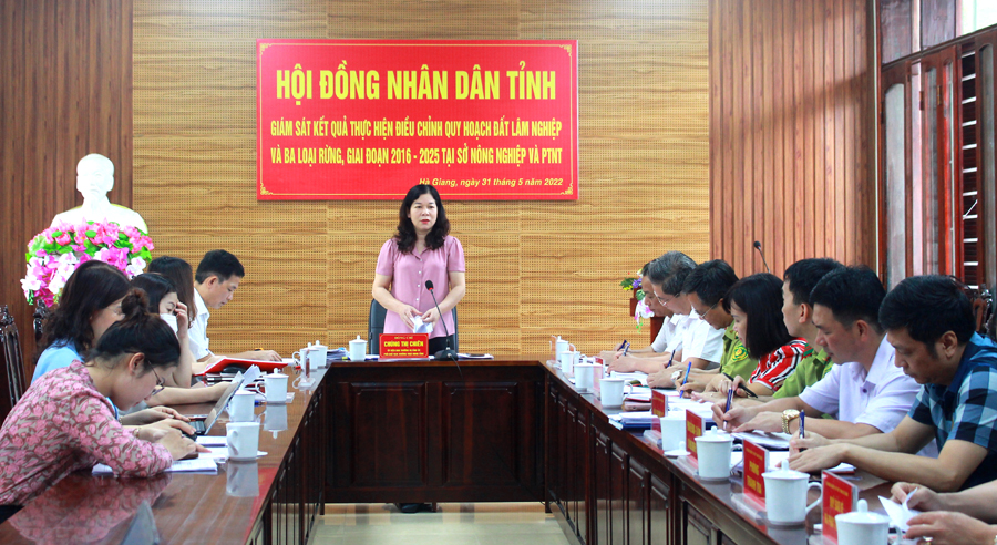 Phó Chủ tịch Thường trực HĐND tỉnh Chúng Thị Chiên phát biểu kết luận buổi làm việc
