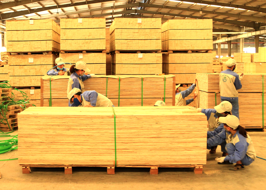 Tình hình hoạt động của nhà máy sản xuất và chế biến gỗ công nghệ cao thuộc Công ty TNHH Thái Dương được duy trì ổn định sau dịch Covid-19.
