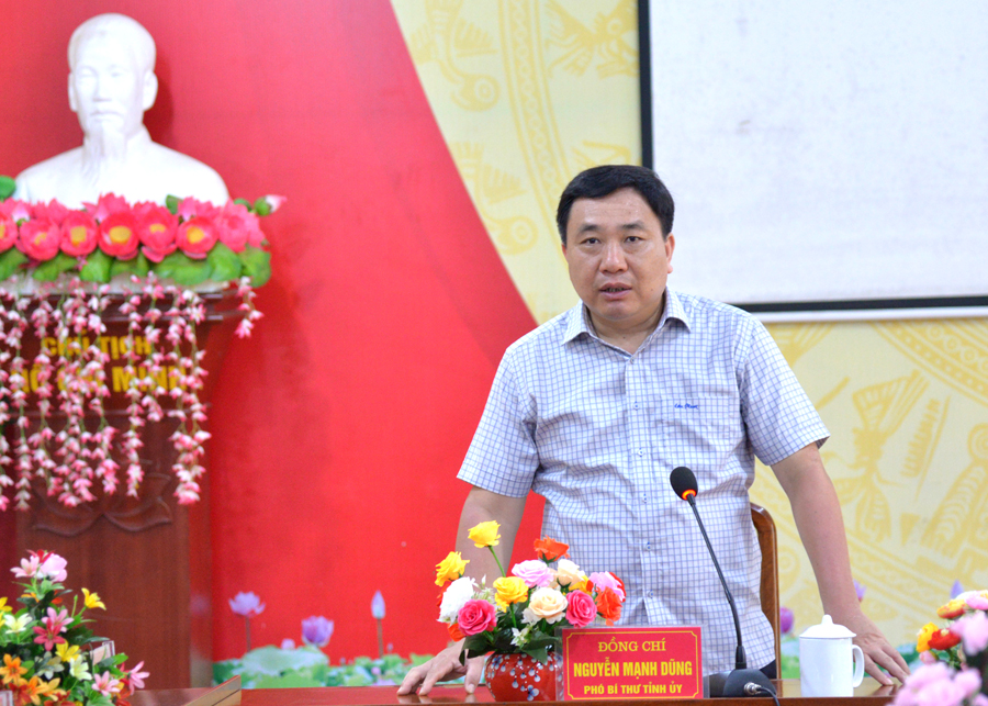 Phó Bí thư Tỉnh ủy Nguyễn Mạnh Dũng phát biểu tại buổi làm việc 
