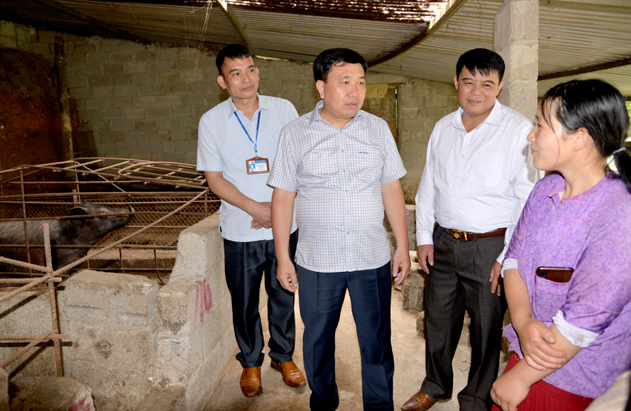 Phó Bí thư Tỉnh ủy Nguyễn Mạnh Dũng thăm mô hình chăn nuôi lợn.

