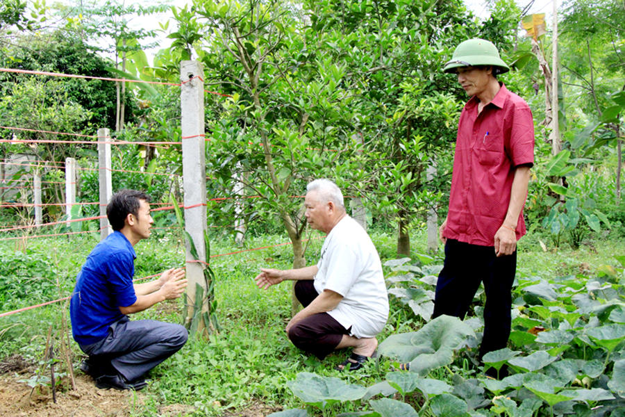 Cán bộ xã Xuân Giang (Quang Bình) hướng dẫn hộ ông Hoàng Văn Thỏa, thôn Tịnh cải tạo vườn tạp.