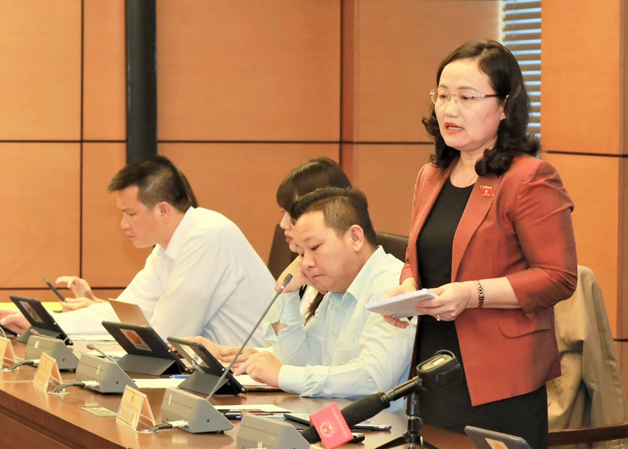 Đại biểu Phạm Thúy Chinh góp ý vào dự án Luật Phòng, chống bạo lực gia đình (sửa đổi) và Luật Thực hiện dân chủ ở cơ sở.