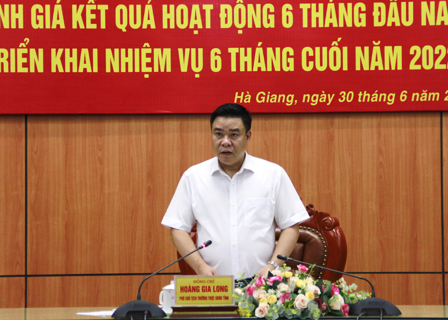 Phó Chủ tịch Thường trực UBND tỉnh Hoàng Gia Long kết luận hội nghị.
