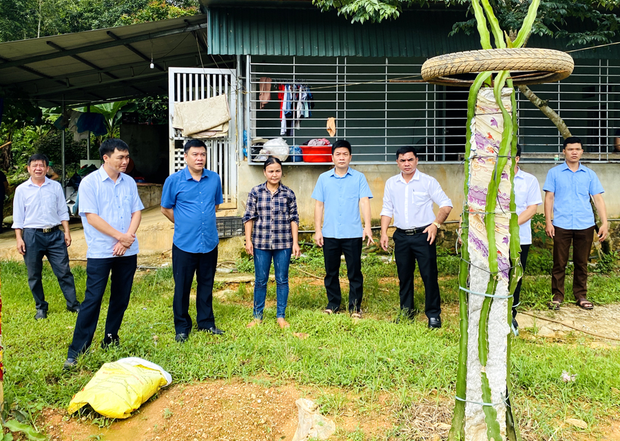Phó Chủ tịch Thường trực UBND tỉnh Hoàng Gia Long thăm mô hình cải tạo vườn tạp của gia đình chị Hậu Thị Hương, thôn Nà Ác, xã Phú Linh.
