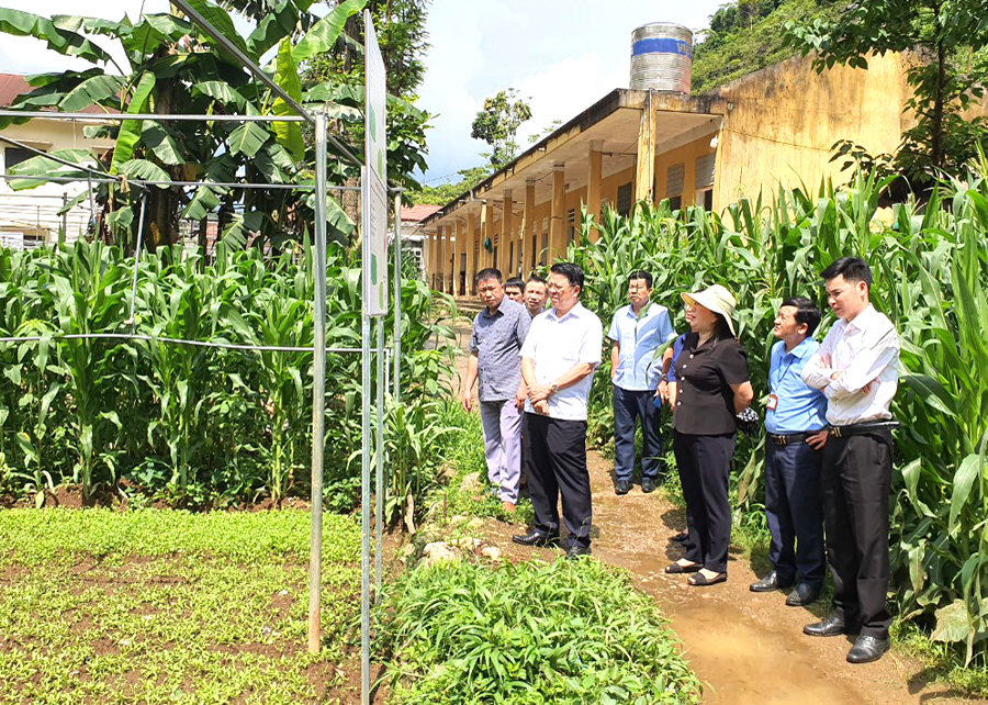 Trưởng Ban Dân vận Tỉnh ủy Trần Mạnh Lợi và đoàn công tác tham quan mô hình cải tạo vườn tạp tại xã Pải Lủng.
