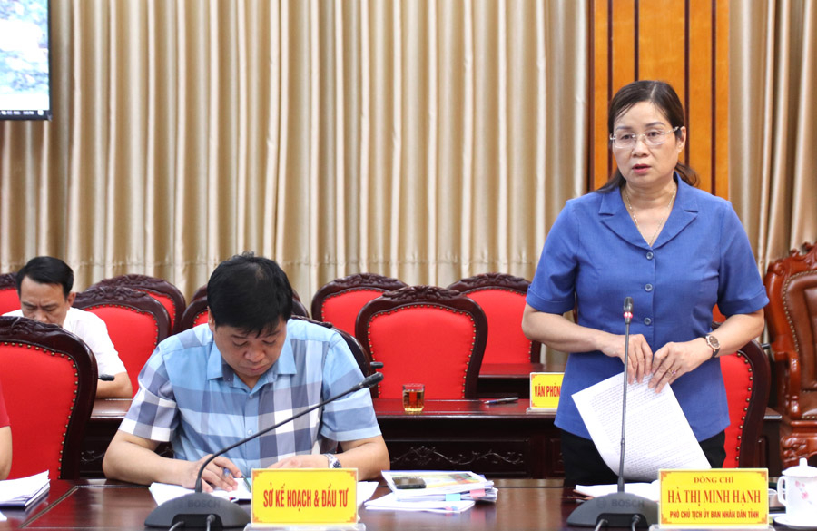 Phó Chủ tịch UBND tỉnh Hà Thị Minh Hạnh đề nghị các cấp, ngành tập trung giải pháp về đất đai, môi trường, khoáng sản để thực hiện việc lấy đất đắp nền đường, khai thác vật liệu phục vụ dự án cũng như việc bố trí khu vực đổ đất, đá thải của dự án.