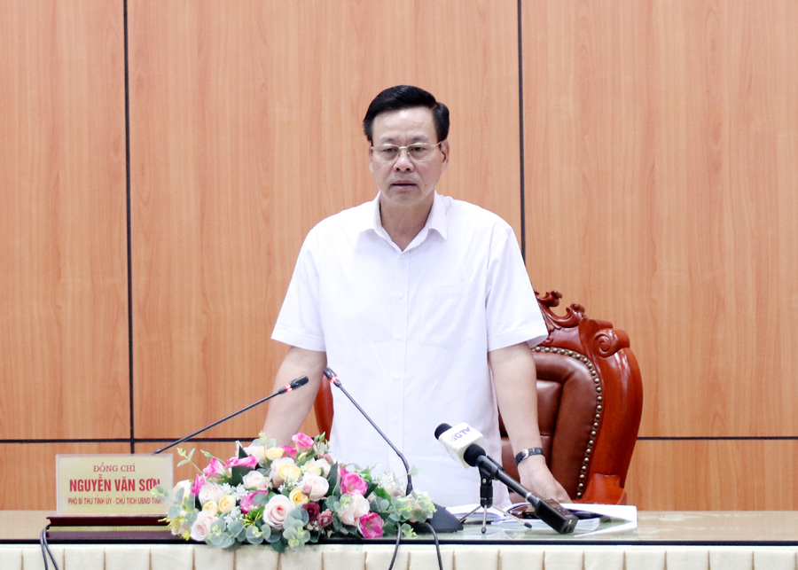 Chủ tịch UBND tỉnh Nguyễn Văn Sơn kết luận buổi làm việc.
