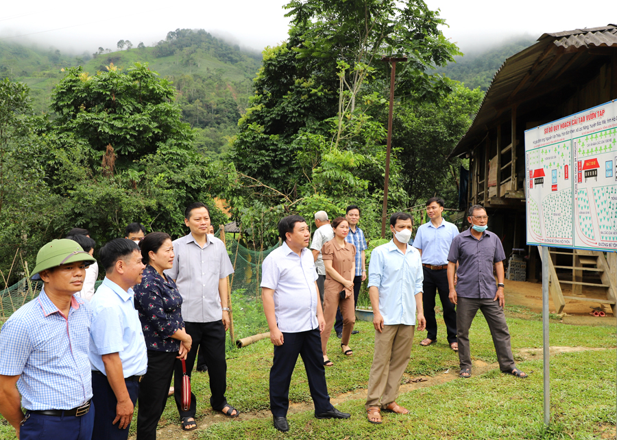 Phó Bí thư Tỉnh ủy Nguyễn Mạnh Dũng thăm mô hình cải tạo vườn tạp của gia đình ông Nguyễn Văn Thiệu, thôn Bản Khén, xã Lạc Nông.

