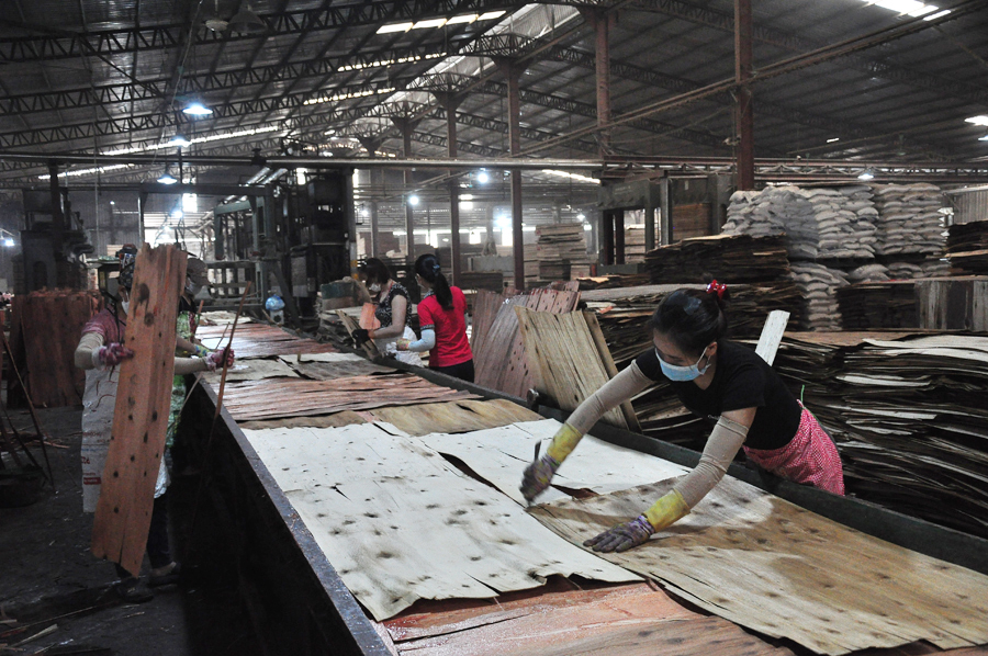  Sản xuất ván ép xuất khẩu tại Công ty Thái Hoàng (Cụm công nghiệp Nam Quang).
