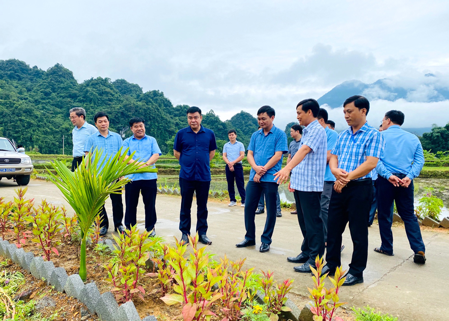 Phó Chủ tịch Thường trực UBND tỉnh Hoàng Gia Long kiểm tra tuyến đường kiểu mẫu xã Tùng Bá.
