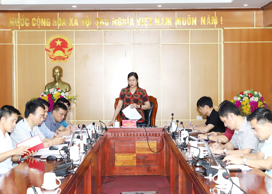 Phó Chủ tịch UBND tỉnh Hà Thị Minh Hạnh phát biểu tại buổi làm việc với tập thể lãnh đạo UBND huyện Mèo Vạc
