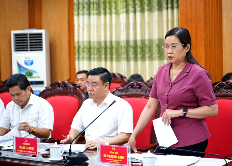 Phó Chủ tịch UBND tỉnh Hà Thị Minh Hạnh phát biểu tại buổi làm việc
