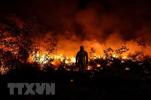 Nhân viên cứu hỏa nỗ lực khống chế các đám cháy rừng do nắng nóng tại Gironde, tây nam nước Pháp. 