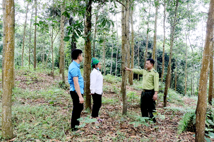 Cán bộ Hạt Kiểm lâm huyện Quang Bình tuyên truyền bảo vệ rừng cho người dân thị trấn Yên Bình.				 Ảnh: HẢI SƠN