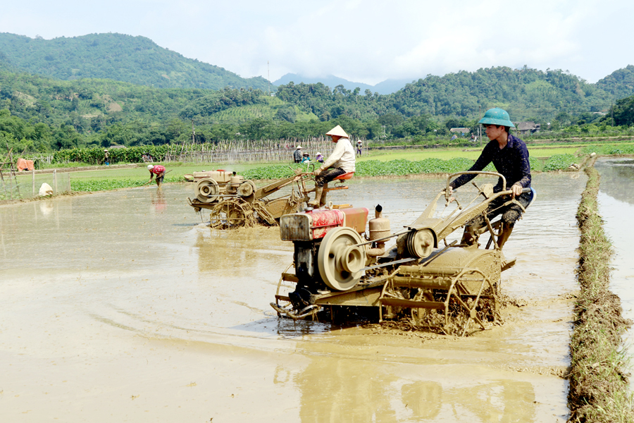 Người dân thôn Yên Thượng, xã Vĩ Thượng làm đất chuẩn bị gieo cấy vụ Mùa.
