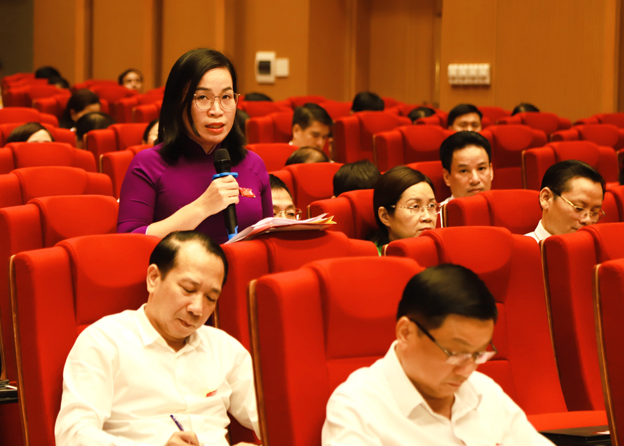 Đại biểu Chu Thị Ngọc Diệp chất vấn Giám đốc Sở LĐTB&XH về tình trạng tái nghèo cao
