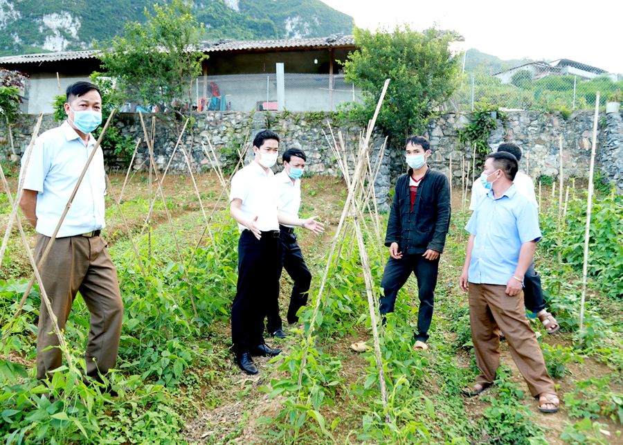Trưởng ban Tuyên giáo Tỉnh ủy Vũ Mạnh Hà kiểm tra mô hình cải tạo vườn tạp trên địa bàn huyện Yên Minh. 				Ảnh: CTV
