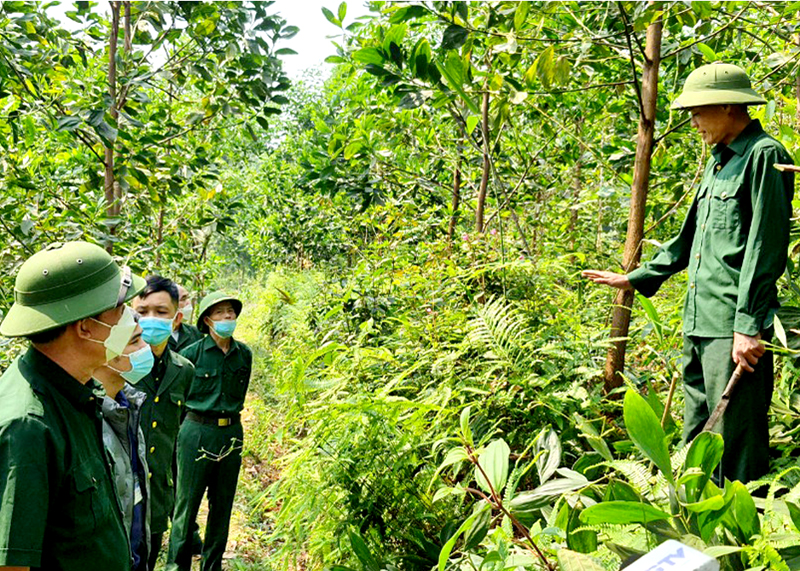 CCB Lý Văn Phẩn, Thôn Nà Sáng, xã Minh Sơn giới thiệu về mô hình trồng rừng của gia đình.                                        Ảnh: HOÀNG YẾN
