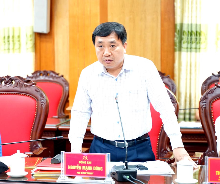 Phó Bí thư Tỉnh ủy Nguyễn Mạnh Dũng phát biểu tại buổi làm việc.
