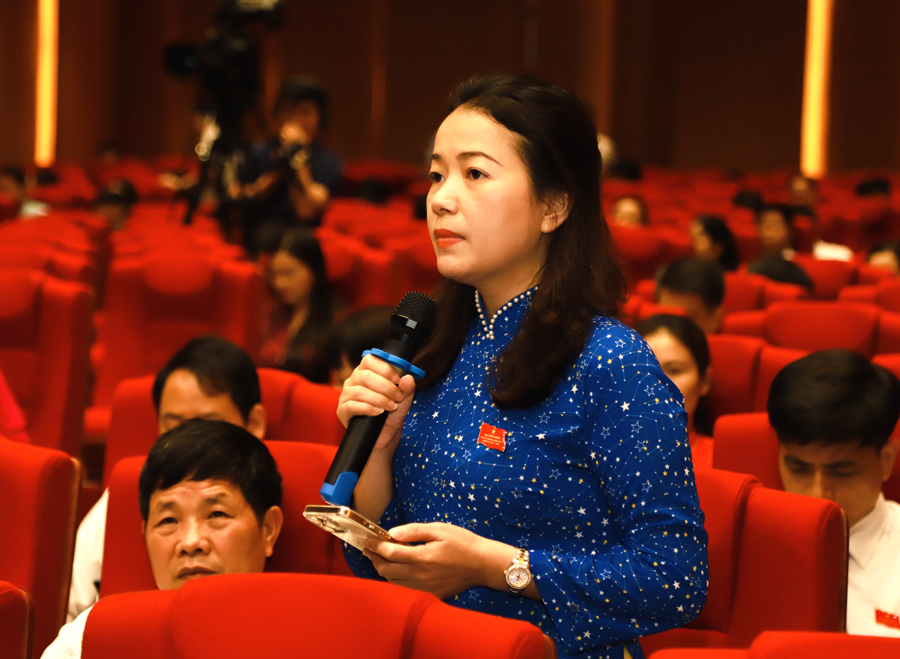 Đại biểu Hùng Thị Giang, Tổ đại biểu huyện Đồng Văn đề nghị UBND tỉnh làm rõ một số vấn đề trong lĩnh vực VH-XH
