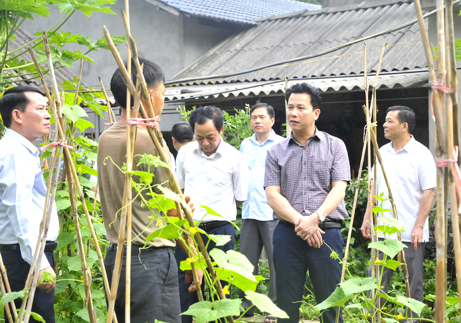 Bí thư Tỉnh uỷ Đặng Quốc Khánh thăm mô hình cải tạo vườn tạp của gia đình anh Hạng Mí Chính.