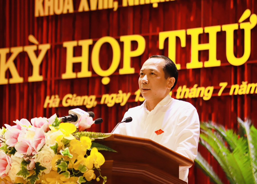 Phó Chủ tịch UBND tỉnh Trần Đức Quý giải trình, làm rõ các nội dung đại biểu chất vấn thuộc lĩnh vực VH-XH