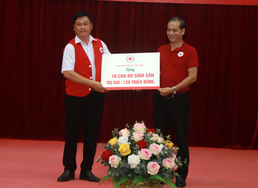 T.Ư Hội Chữ thập đỏ Việt Nam trao biểu trưng tặng 10 con bò cho huyện Quang Bình
