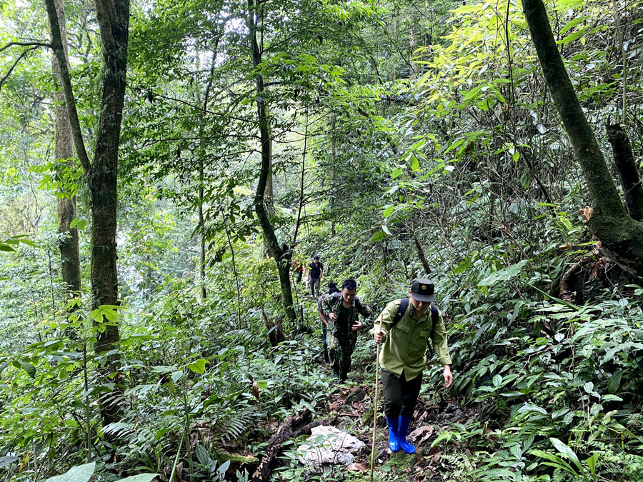 Tổ chức FFI đi khảo sát ở khu rừng Khau Ca
