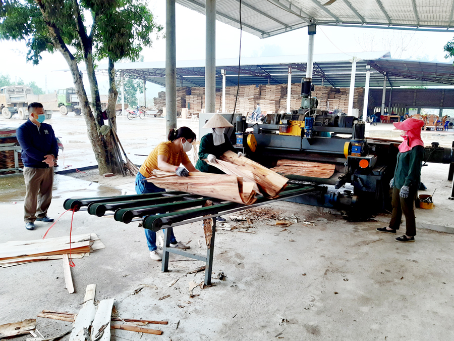 Xưởng ván bóc Hương Chung, xã Kim Ngọc (Bắc Quang) đẩy mạnh sản xuất, đáp ứng nhu cầu của thị trường.
