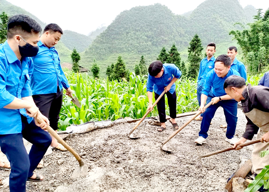 Đoàn viên, thanh niên xã Cán Chu Phìn (Mèo Vạc) làm đường bê tông xây dựng Nông thôn mới.
