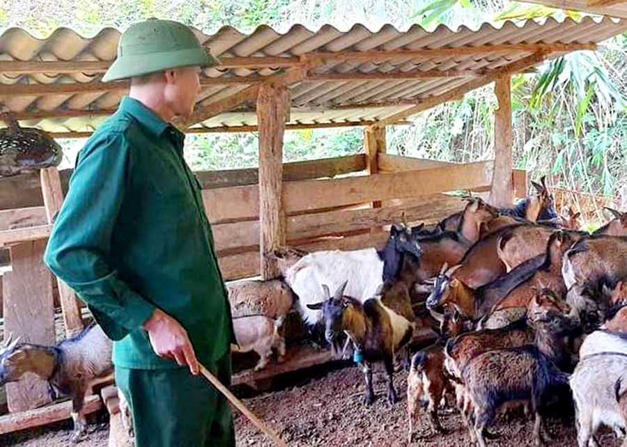 Cựu chiến binh Lý Văn Phẩn, xã Minh Sơn (Bắc Mê) phát triển chăn nuôi, nâng cao thu nhập.					Ảnh: THÁI KHANG
