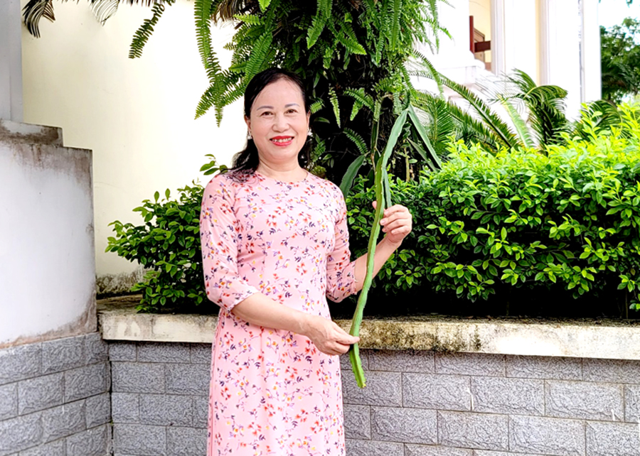 Cô giáo Nguyễn Thị Nguyệt Minh.
