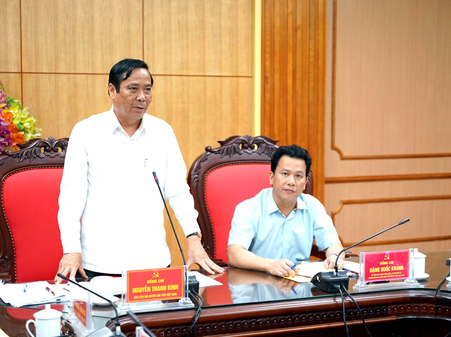Chủ tịch Hội NCT Việt Nam Nguyễn Thanh Bình phát biểu tại buổi làm việc.