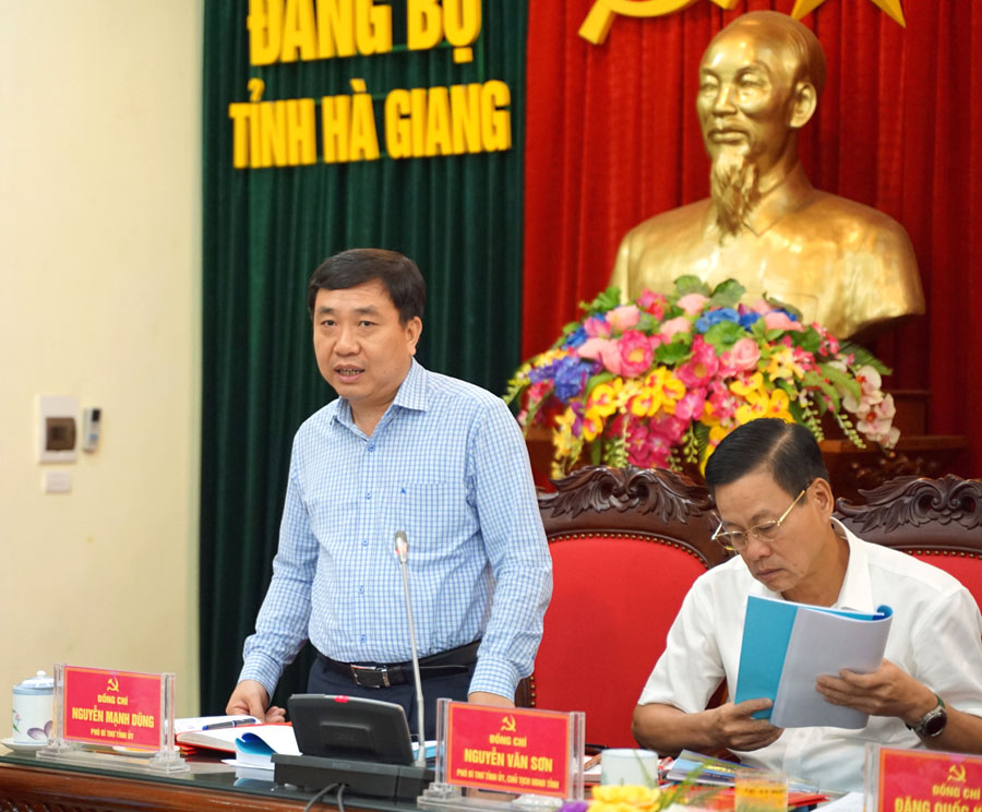 Phó Bí thư Tỉnh ủy Nguyễn Mạnh Dũng phát biểu tại buổi làm việc.
