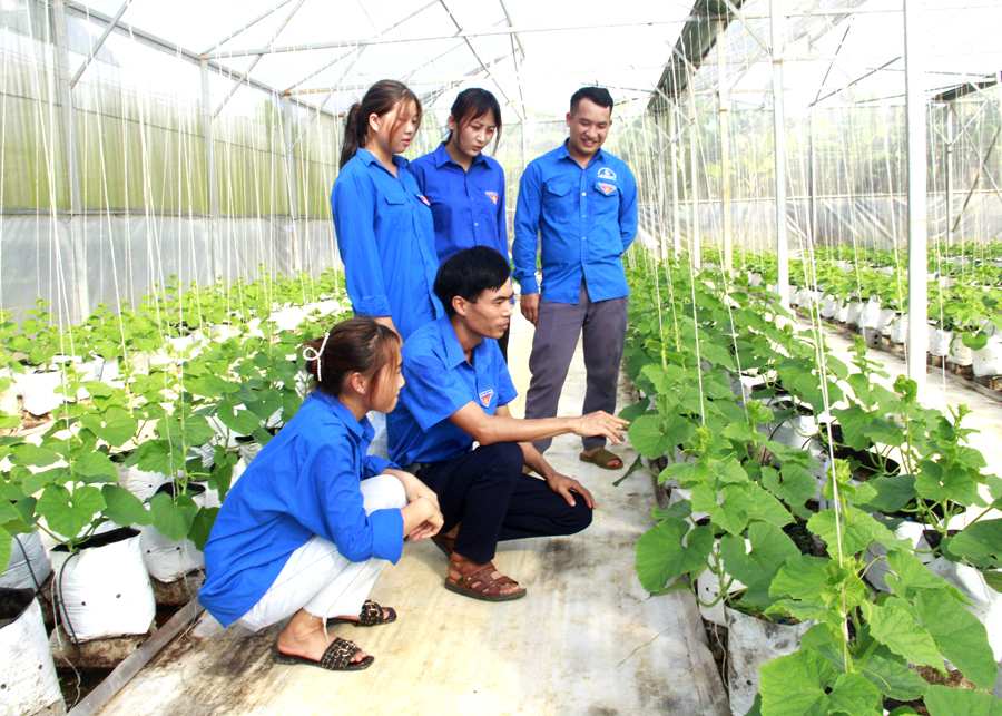 Giám đốc HTX Thanh niên Phương Tiến Nông Xuân Tiến giới thiệu mô hình khởi nghiệp vườn dưa 4.0.
