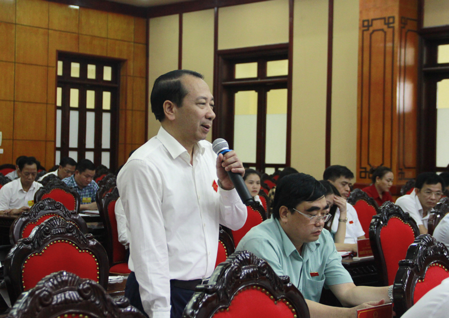 Phó Chủ tịch UBND tỉnh Trần Đức Quý thảo luận tại kỳ họp.
