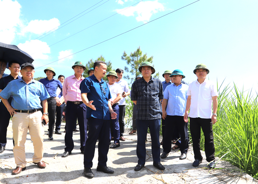 Phó Chủ tịch Thường trực UBND tỉnh Hoàng Gia Long kiểm tra hệ thống đường bê tông liên hộ tại thôn Sủng Cáng, xã Sủng Trà.

