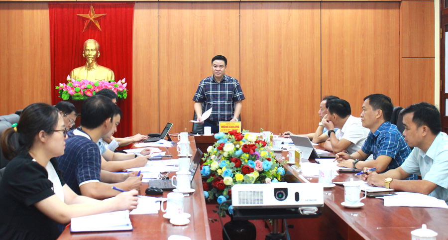 Phó Chủ tịch Thường trực UBND tỉnh Hoàng Gia Long kết luận cuộc họp
