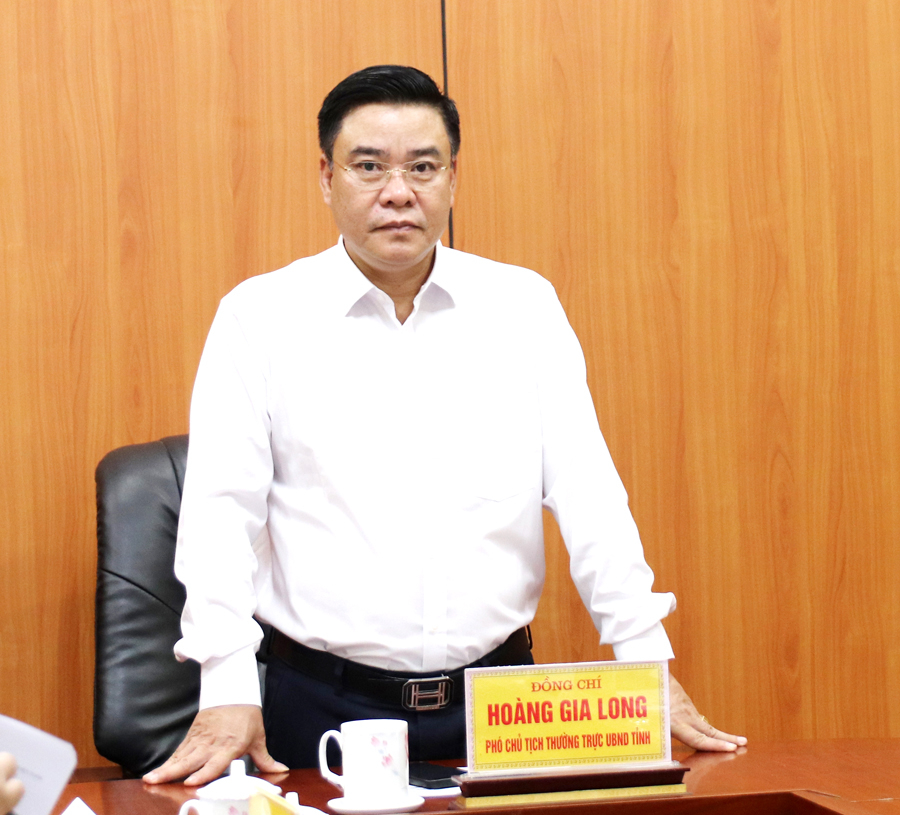 Phó Chủ tịch Thường trực UBND tỉnh Hoàng Gia Long kết luận buổi làm việc.
