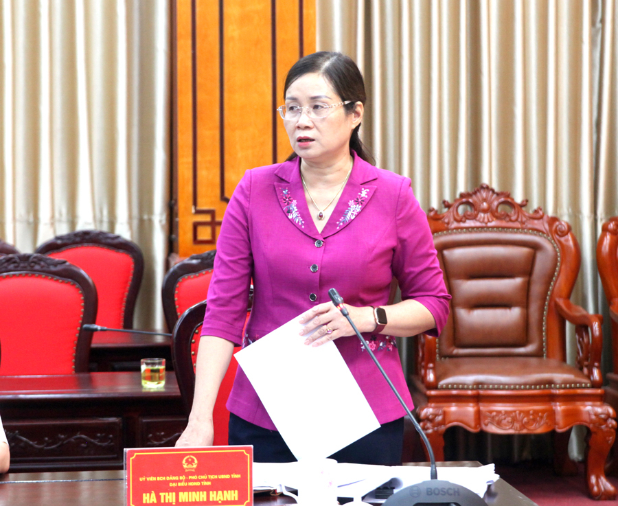 Phó Chủ tịch UBND tỉnh Hà Thị Minh Hạnh phát biểu tại cuộc họp.
