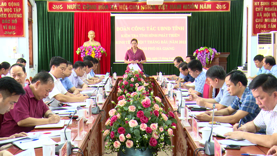 Phó Chủ tịch UBND tỉnh Hà Thị Minh Hạnh phát biểu tại buổi làm việc.
