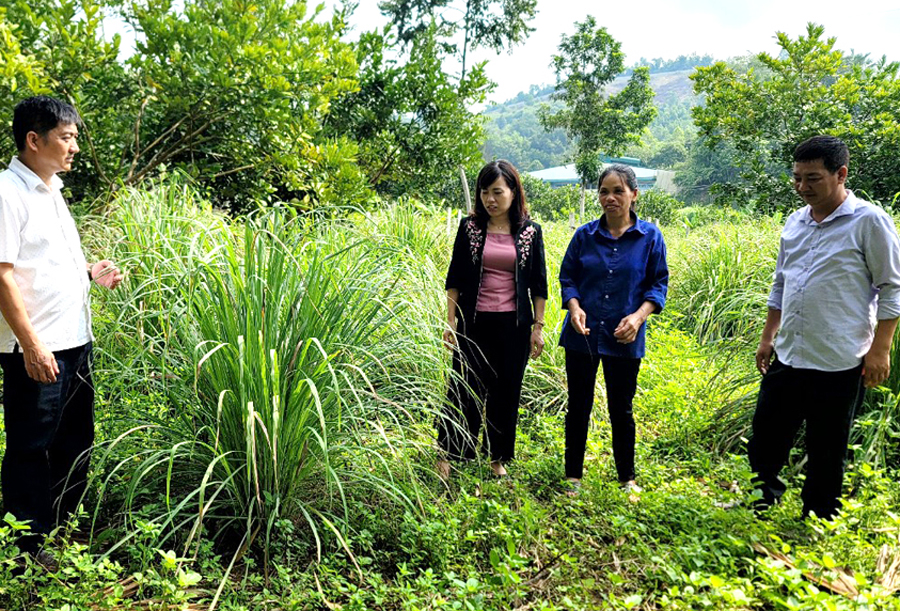Đồng chí Lý Thị Lan thăm mô hình cải tạo vườn tạp tại xã Hùng An.
