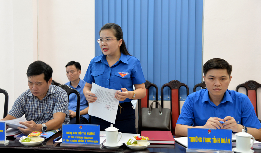 Bí thư Tỉnh đoàn Đỗ Thị Hương báo cáo tại hội nghị
