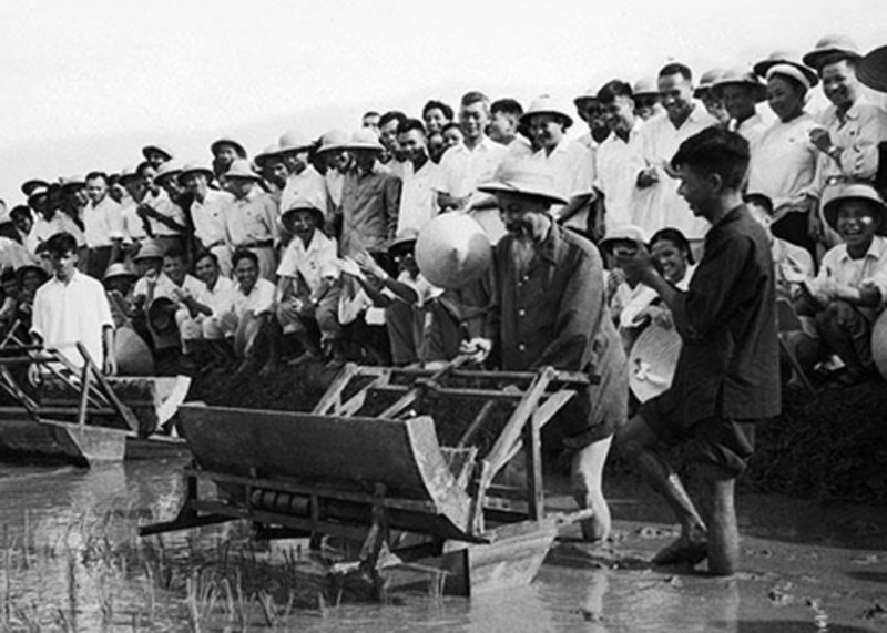 Chủ tịch Hồ Chí Minh tham gia cải tạo vườn trong Phủ Chủ tịch năm 1957. (Ảnh tư liệu)

